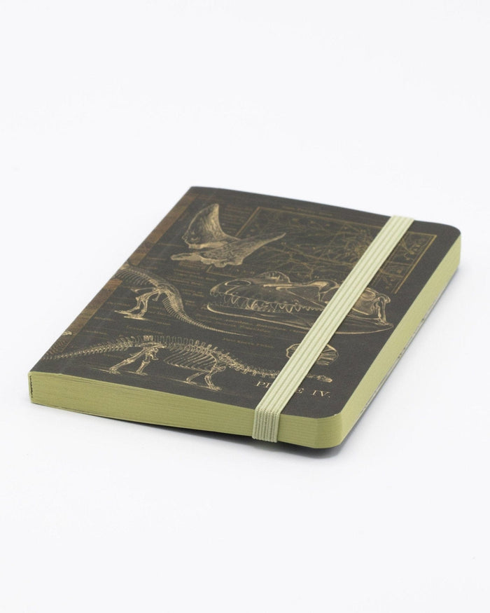 Dinosaur Bones Observation Softcover Cognitive Surplus