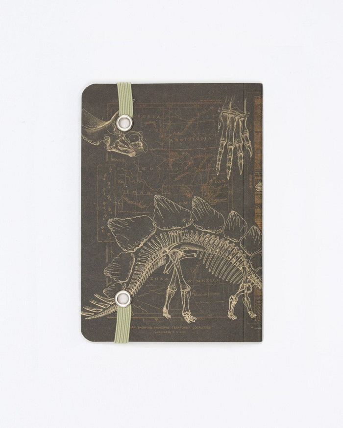 Dinosaur Bones Observation Softcover Cognitive Surplus
