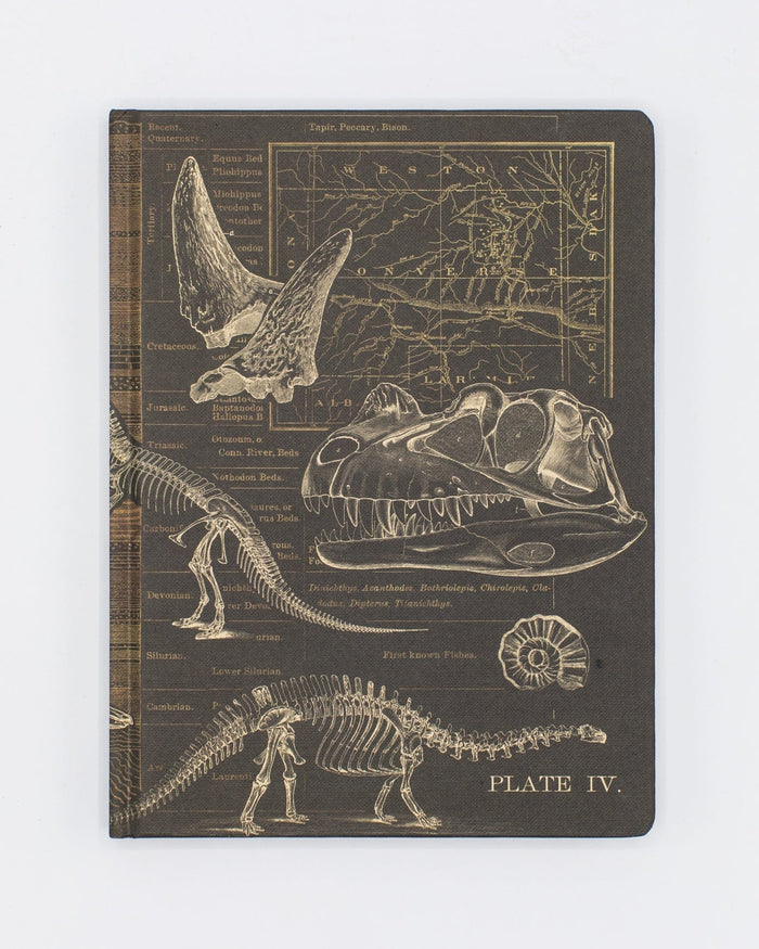Dinosaur Bones: Paleontology Hardcover - Dot Grid Cognitive Surplus