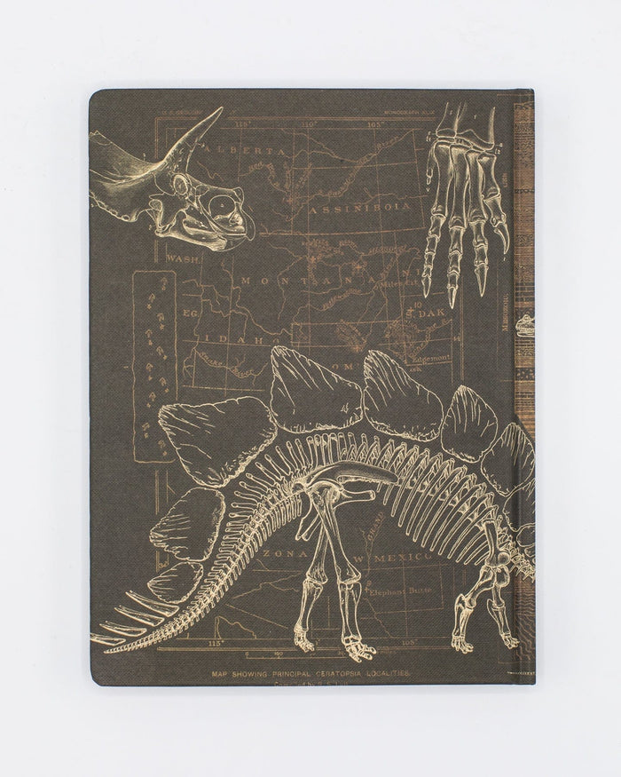 Dinosaur Bones: Paleontology Hardcover - Dot Grid Cognitive Surplus