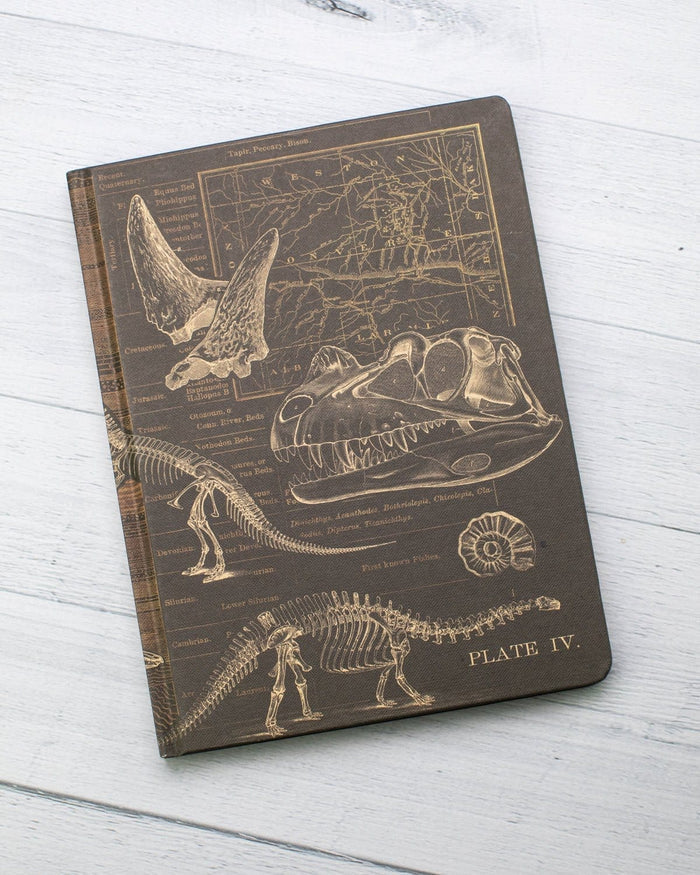 Dinosaur Bones: Paleontology Hardcover - Dot Grid Cognitive Surplus
