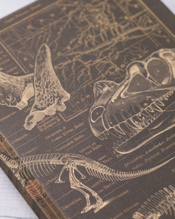 Dinosaur Bones: Paleontology Hardcover - Dot Grid Cognitive Surplus
