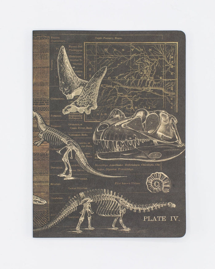 Dinosaur Softcover - Dot Grid Cognitive Surplus
