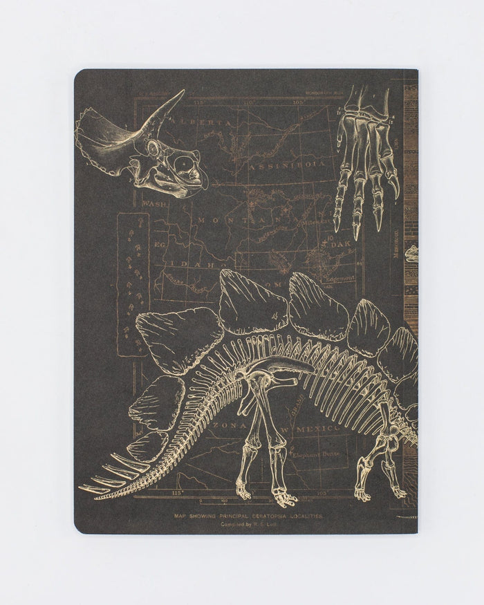 Dinosaur Softcover - Dot Grid Cognitive Surplus