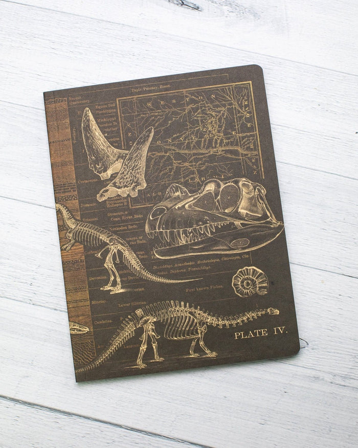 Dinosaur Softcover - Dot Grid Cognitive Surplus