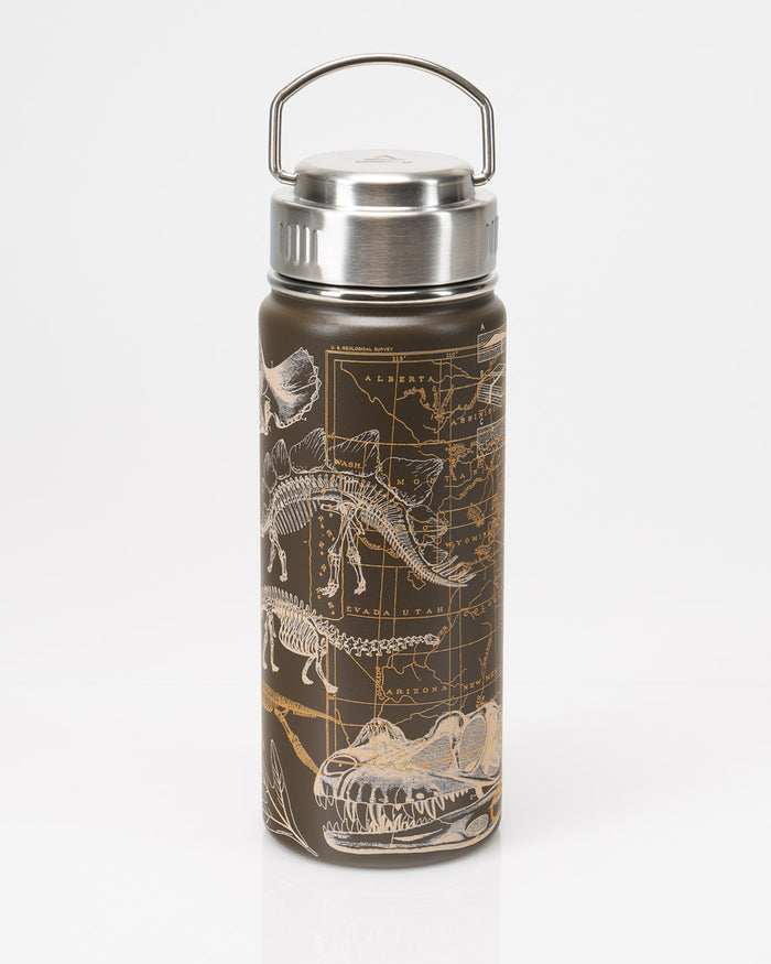 Dinosaurs 18 oz Steel Bottle