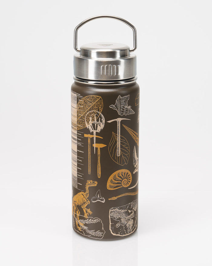Dinosaurs 18 oz Steel Bottle