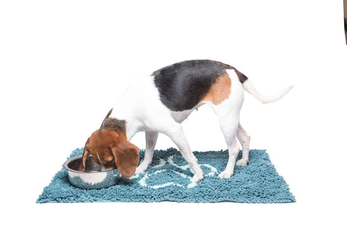 Dirty Dog Doormat Runners