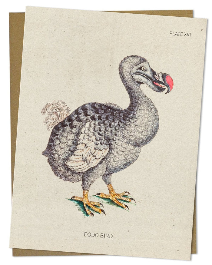 Dodo Bird Specimen Greeting Card Cognitive Surplus