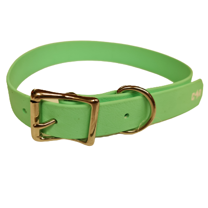 Dog Collar Standard - Wanneroo Stock Feeders