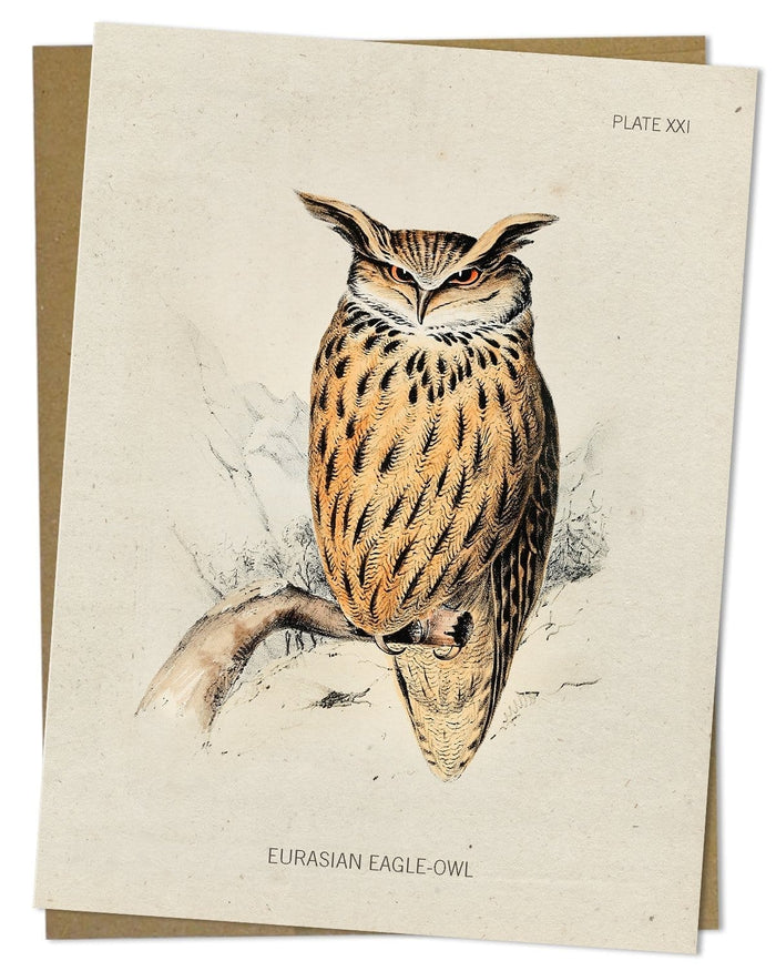 Eagle-Owl Bird Specimen Card Cognitive Surplus