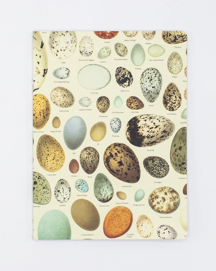 Eggs Softcover - Lined Cognitive Surplus