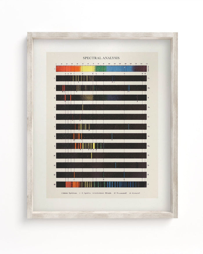 Atomic Spectra Museum Print Cognitive Surplus