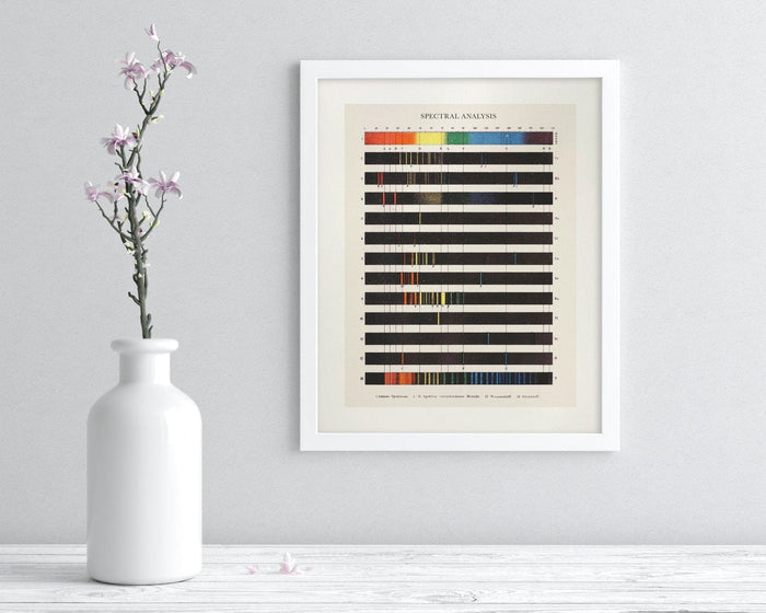 Atomic Spectra Museum Print Cognitive Surplus
