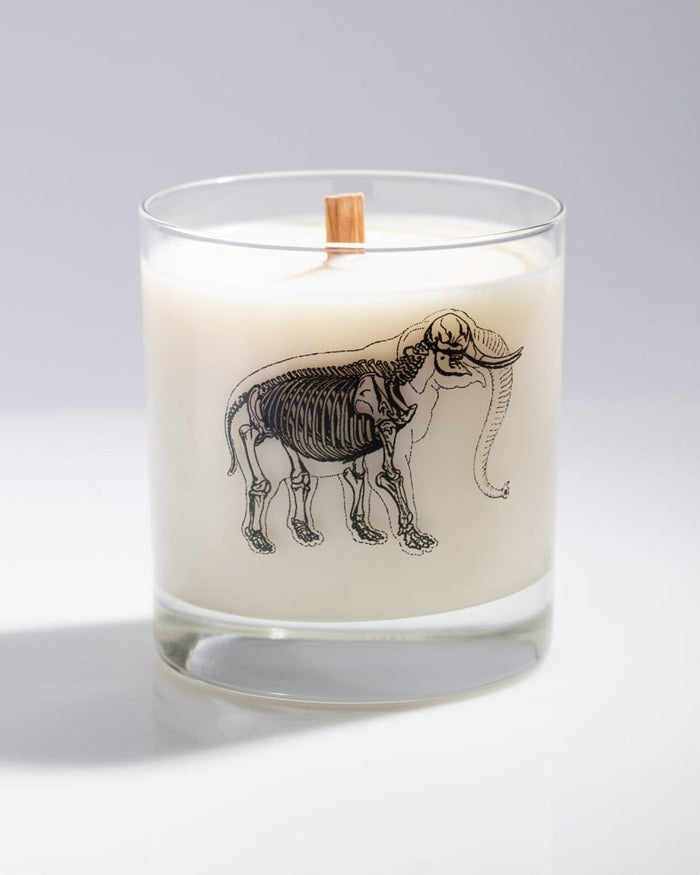 Elephant Bones Cocktail Candle Cognitive Surplus