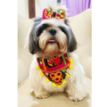 Embroidered collar scarf