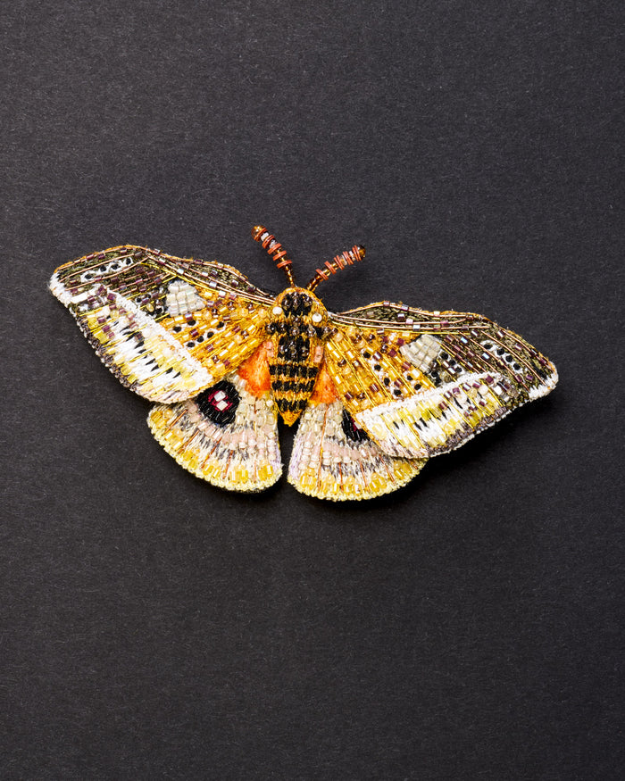 Emperor Moth Beaded Brooch Pin - Trovelore