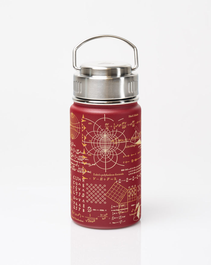 Equations That Changed the World 12 oz Steel Bottle