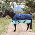 Eureka Bounty Light Rug