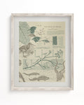 Evolution Museum Print Cognitive Surplus