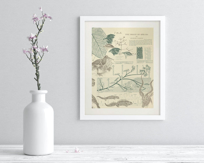 Evolution Museum Print Cognitive Surplus
