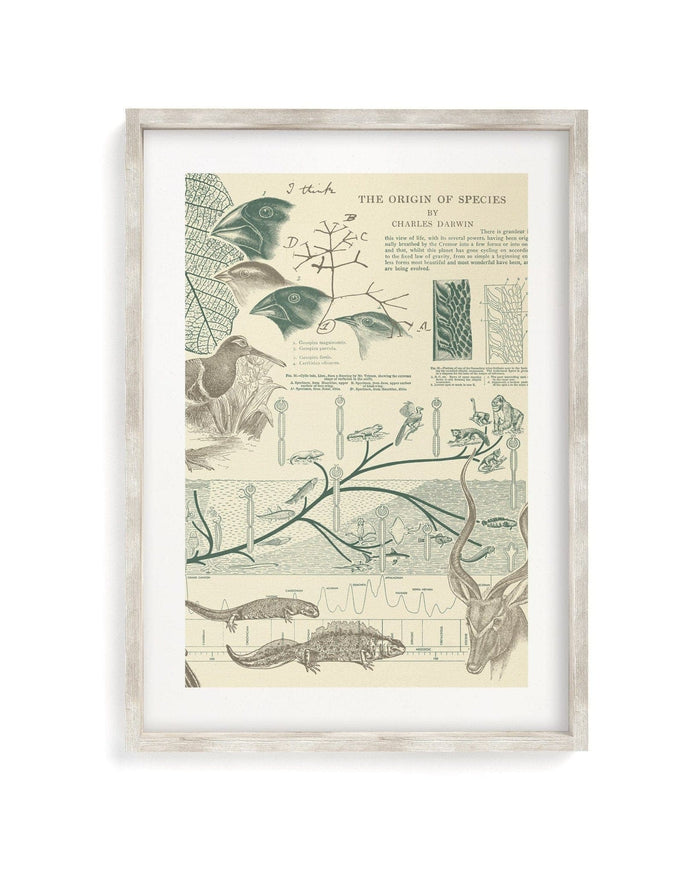 Evolution Museum Print Cognitive Surplus