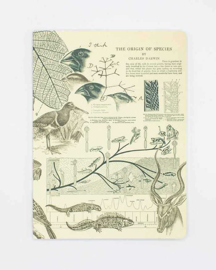Evolution Softcover - Lined Cognitive Surplus