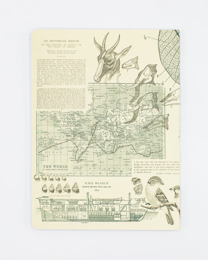 Evolution Softcover - Lined Cognitive Surplus