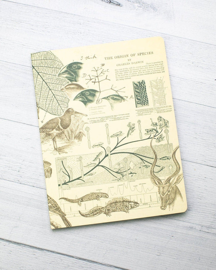 Evolution Softcover - Lined Cognitive Surplus