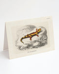 A Cognitive Surplus Fire Salamander Card with an illustration of a gecko.