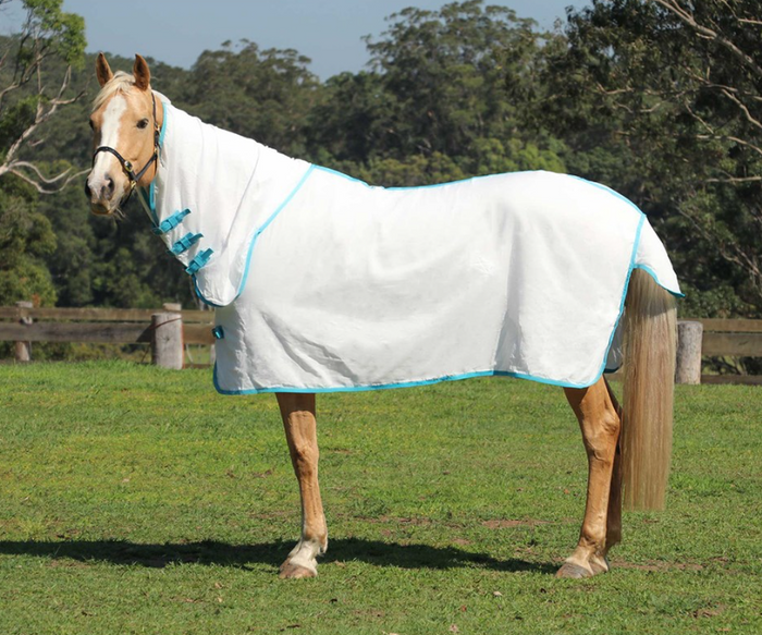 Flag Horse Rug Combo