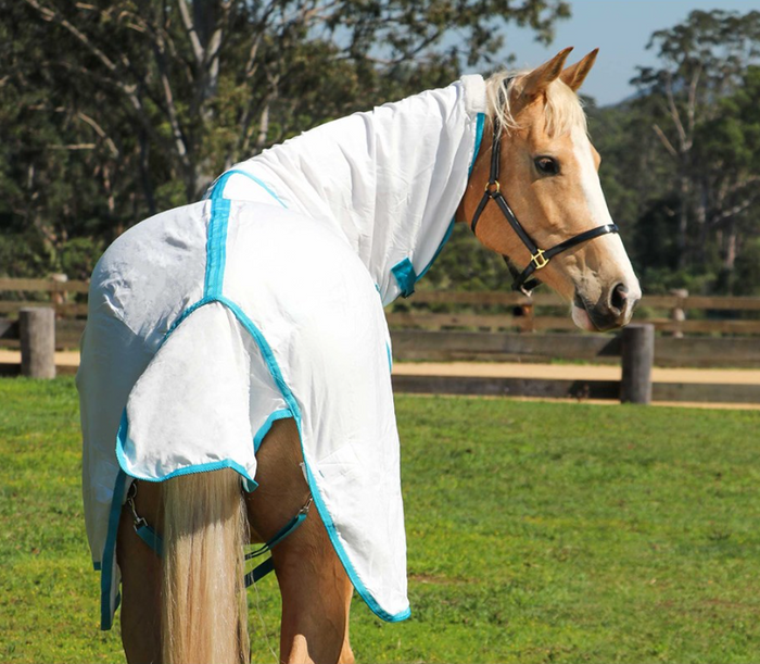 Flag Horse Rug Combo
