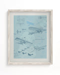 Flight Science Museum Print Cognitive Surplus