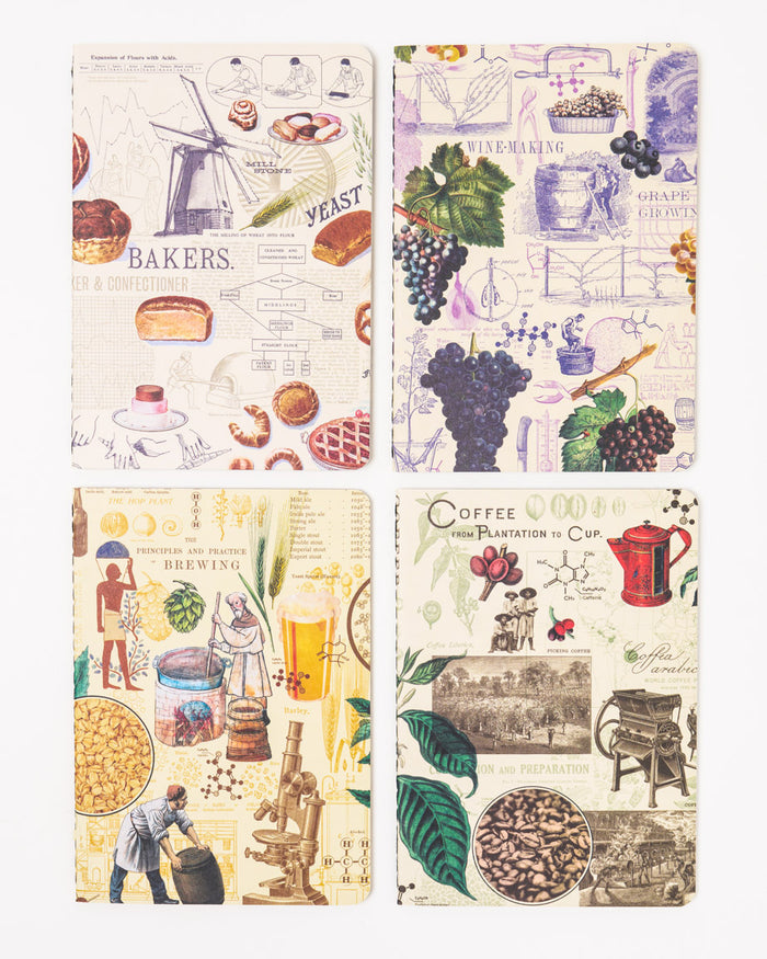 Food Science Pocket Notebook 4-pack