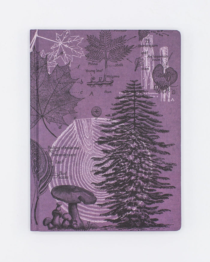 Forest at Dusk Hardcover - Dot Grid Cognitive Surplus