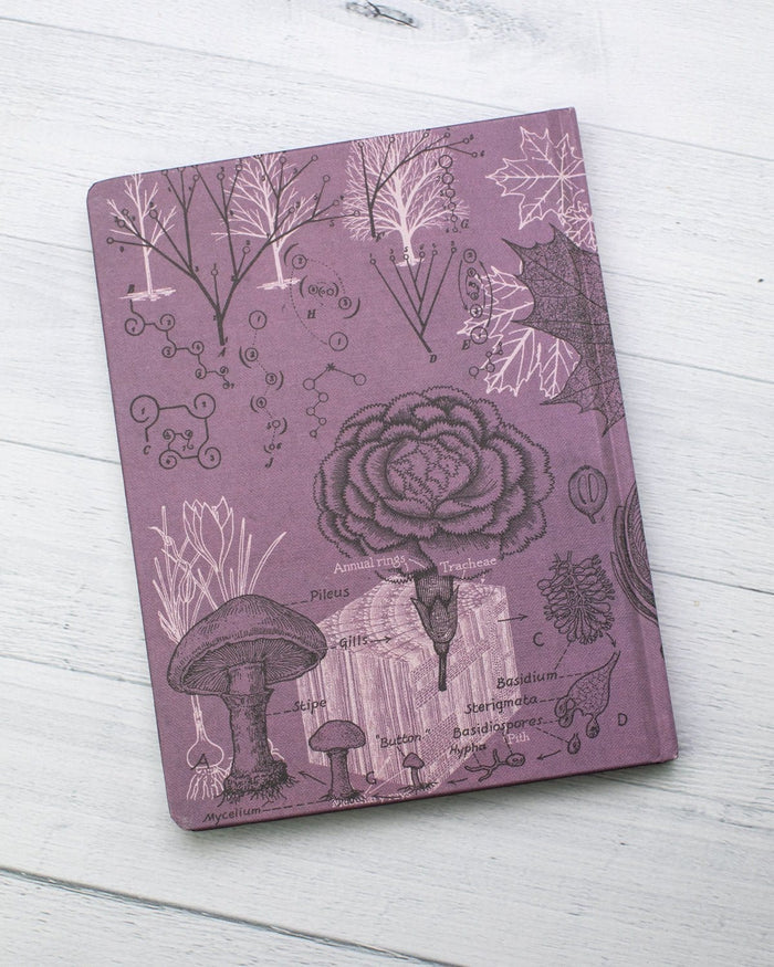 Forest at Dusk Hardcover - Dot Grid Cognitive Surplus