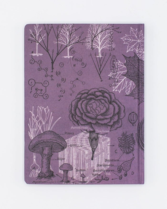 Forest at Dusk Hardcover - Lined/Grid Cognitive Surplus