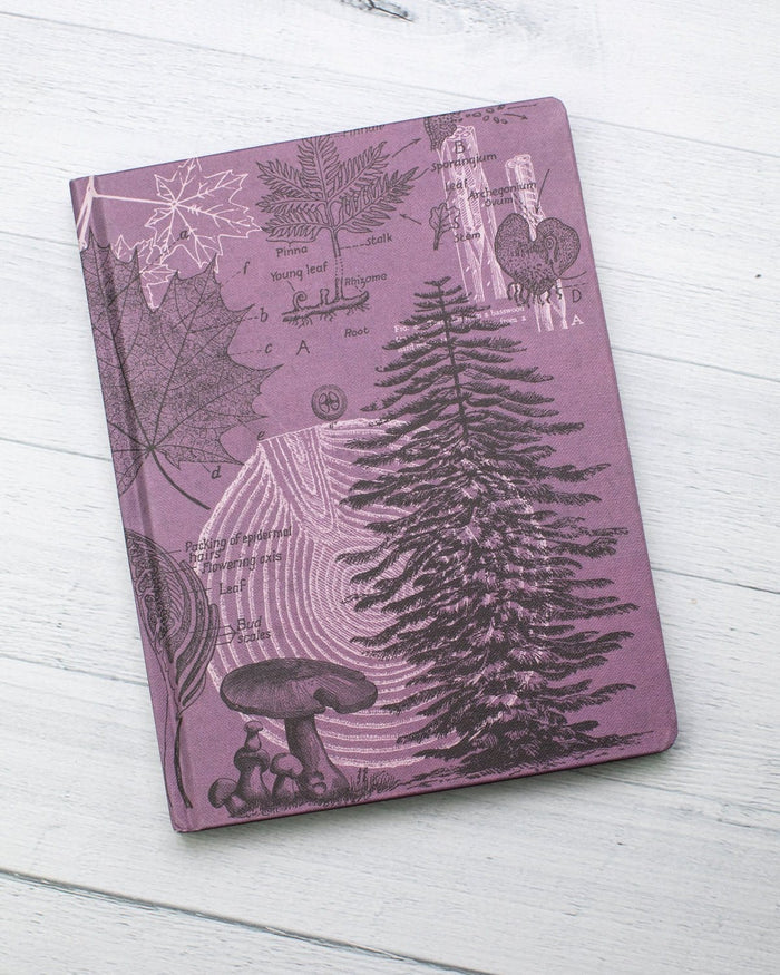 Forest at Dusk Hardcover - Lined/Grid Cognitive Surplus