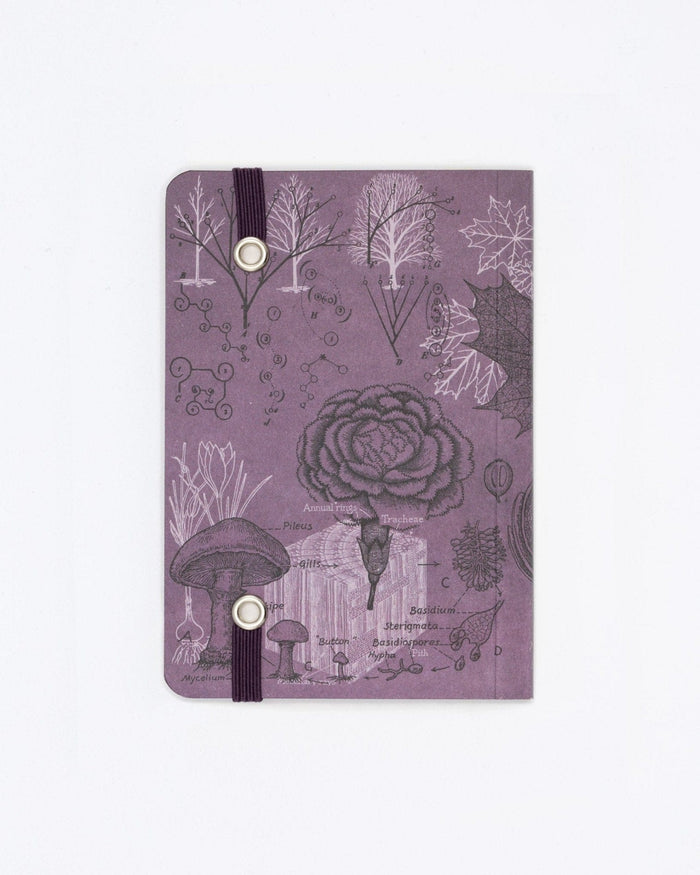 Forest at Dusk Observation Softcover Cognitive Surplus