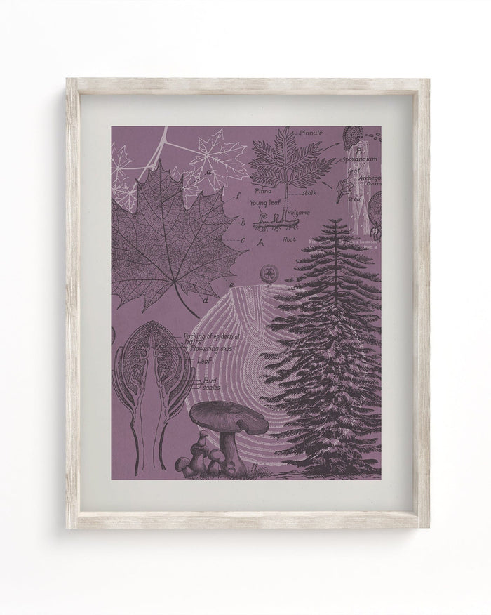 Forest at Dusk Museum Print Cognitive Surplus