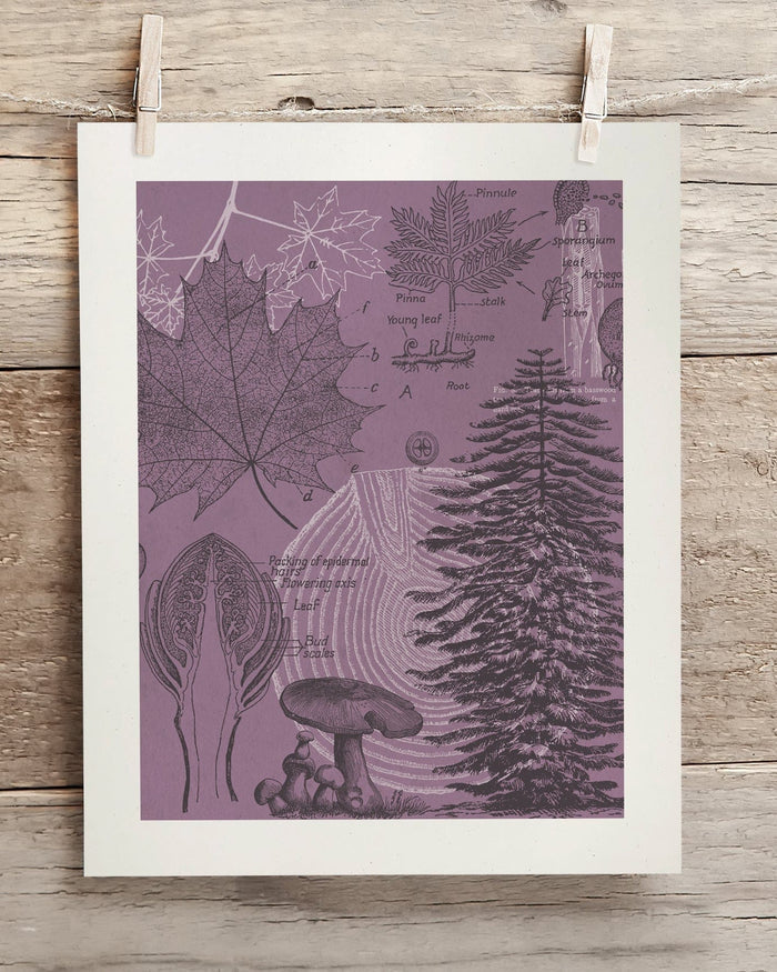 Forest at Dusk Museum Print Cognitive Surplus