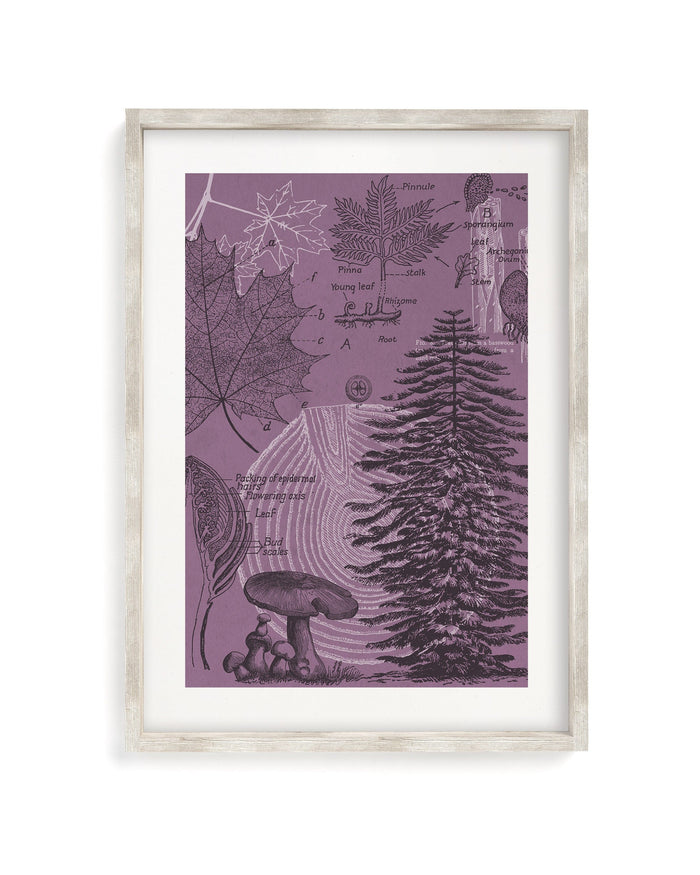Forest at Dusk Museum Print Cognitive Surplus