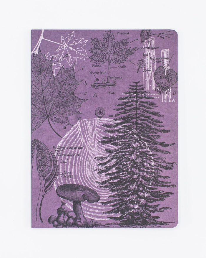 Forest at Dusk Softcover - Lined Cognitive Surplus