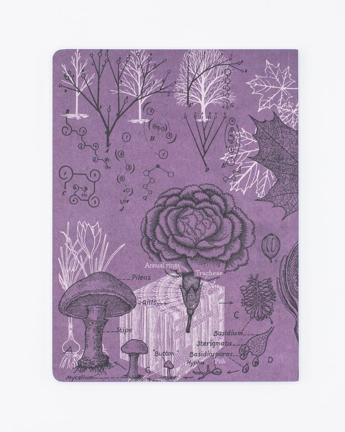 Forest at Dusk Softcover - Lined Cognitive Surplus