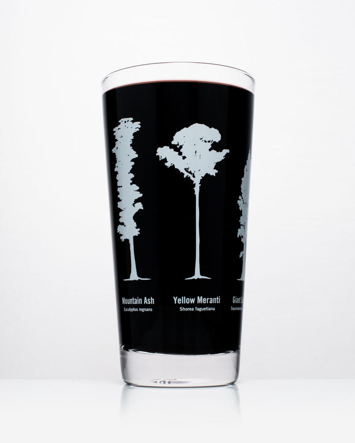 A Forest Giants Beer Glass (12 oz) with a black liquid. - Cognitive Surplus
