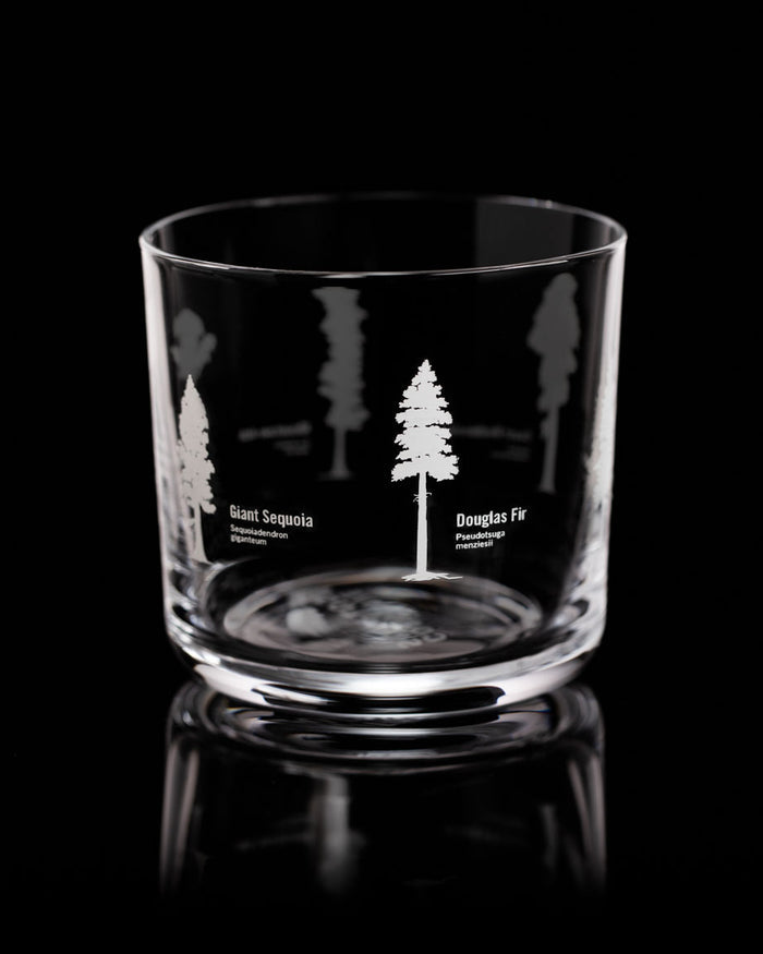 A Forest Giants Whiskey Glass with trees engraved on it by Cognitive Surplus.