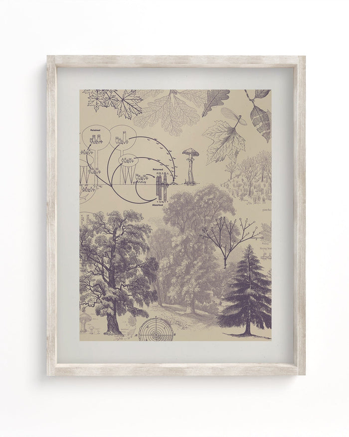 Forest Nutrients Museum Print Cognitive Surplus