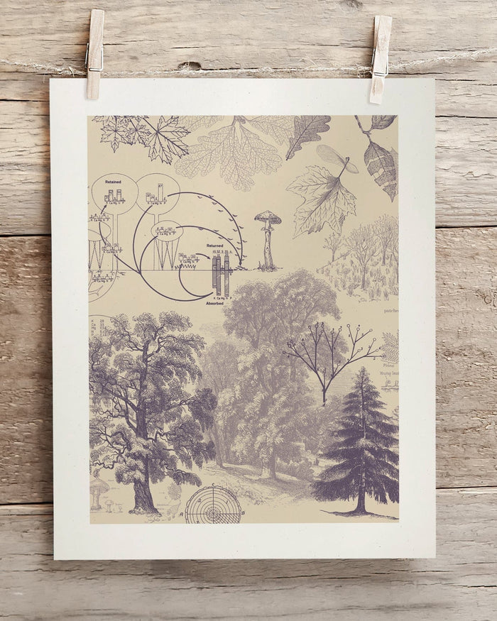 Forest Nutrients Museum Print Cognitive Surplus