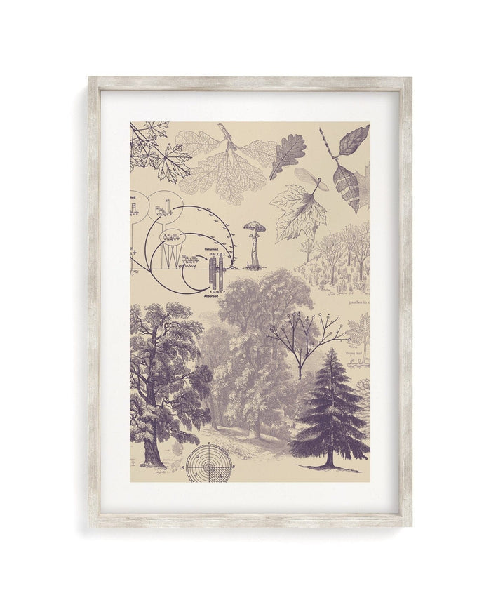 Forest Nutrients Museum Print Cognitive Surplus
