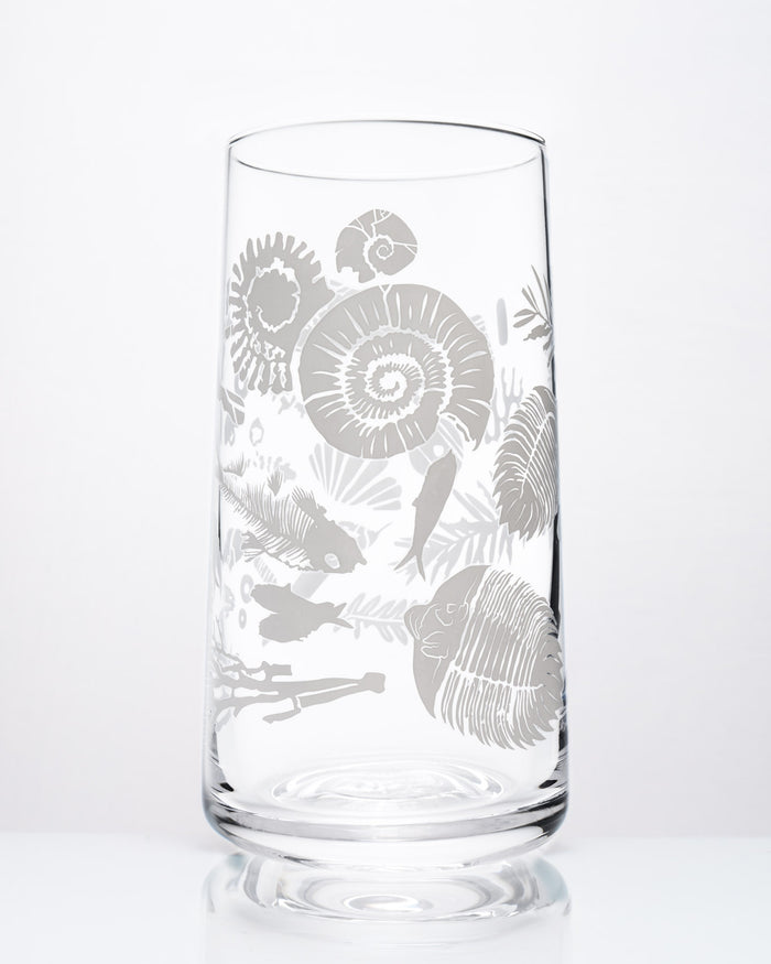 Fossils Drinking Glass